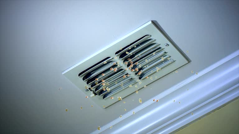 Best General Air Duct Cleaning  in Waxhaw, NC